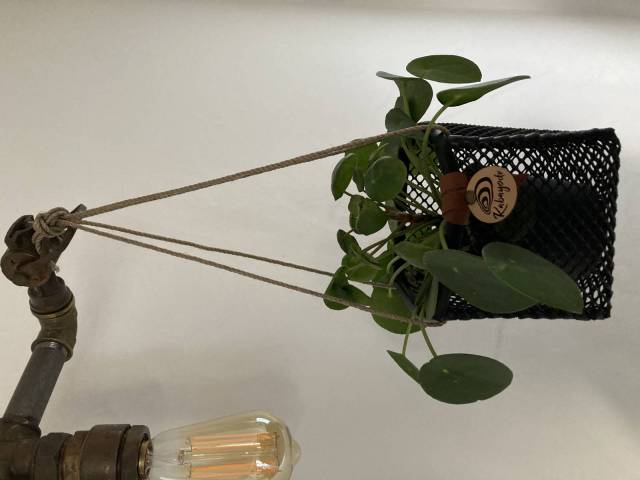 Pot de fleurs suspendu